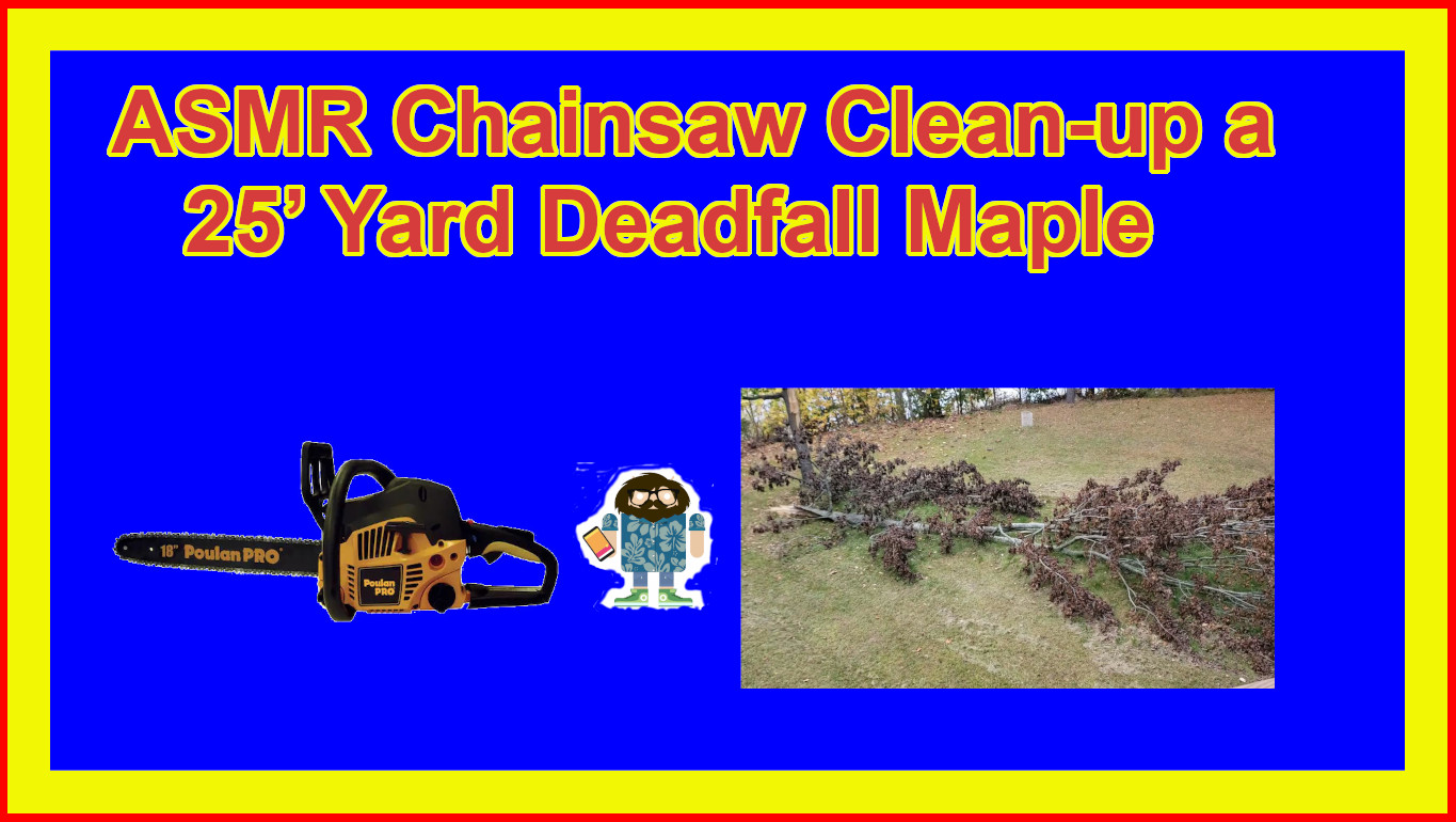 ASMR Chainsaw Clean-up a 25’ Yard Deadfall Maple