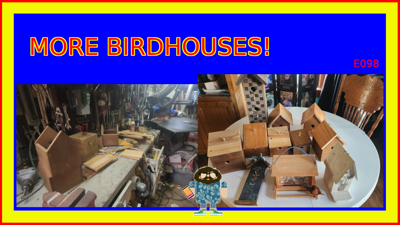 More Birdhouses!