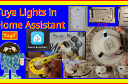 Tuya Lights in Home Assistant