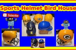 Sports Helmet BirdHouse