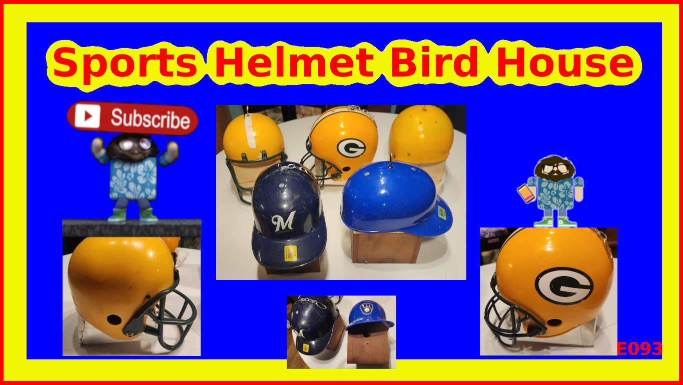 Sports Helmet BirdHouse